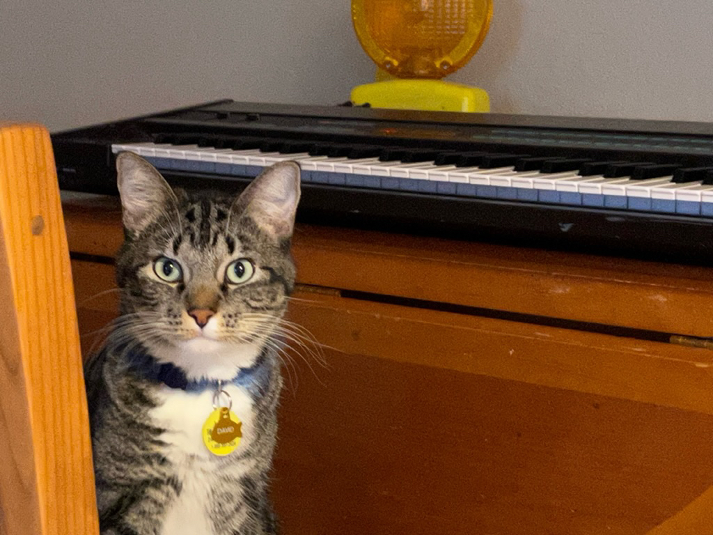 David at the keyboard
