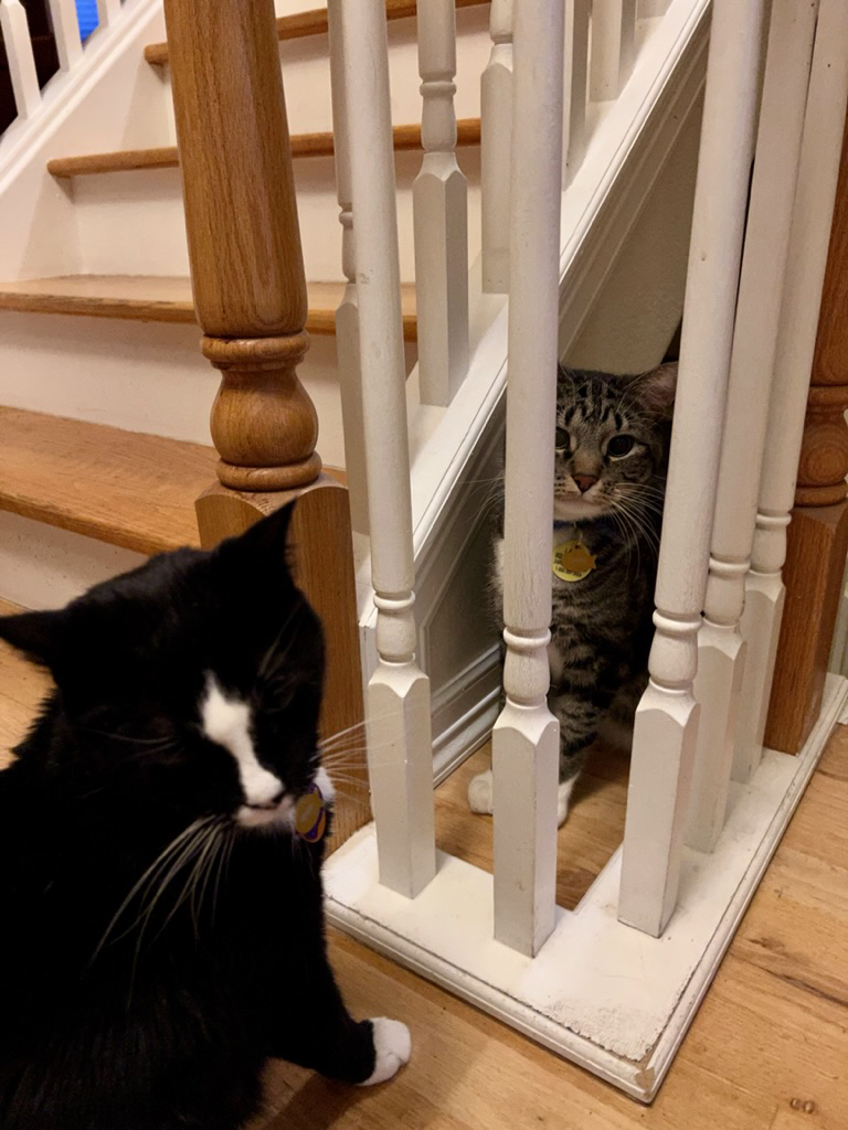 Jail time