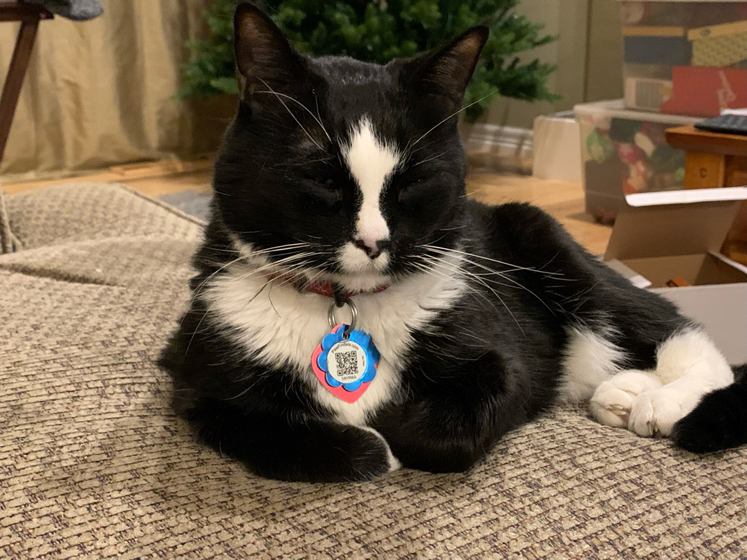 Henry helped put away all the Christmas decorations