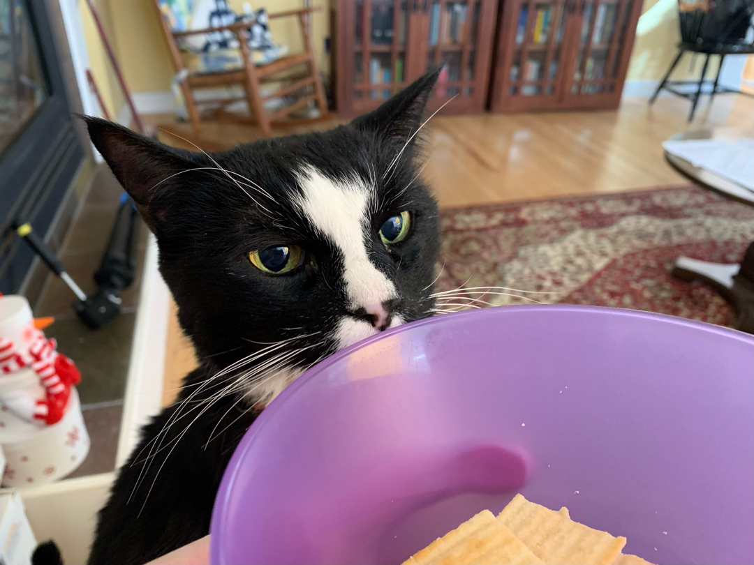 I like Cheez-Its