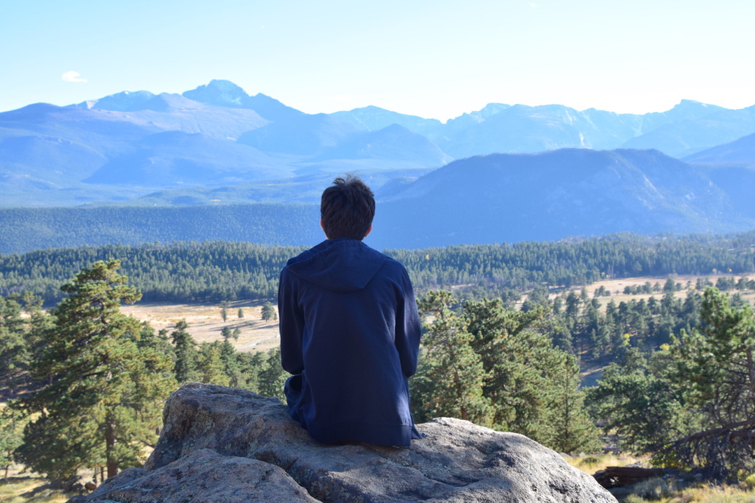 Contemplating nature