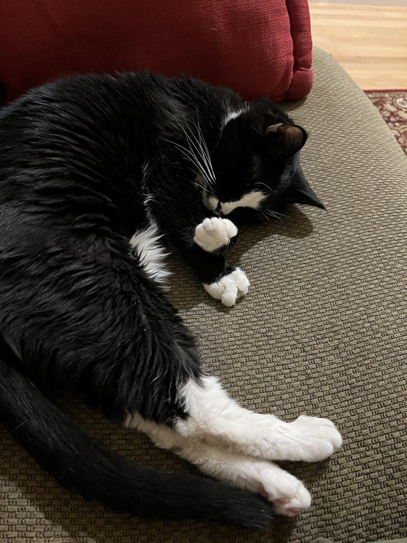 Curled up