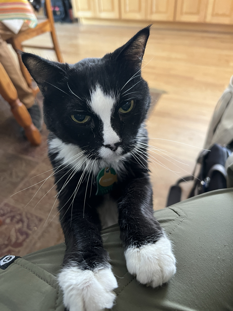 Henry requests a lap