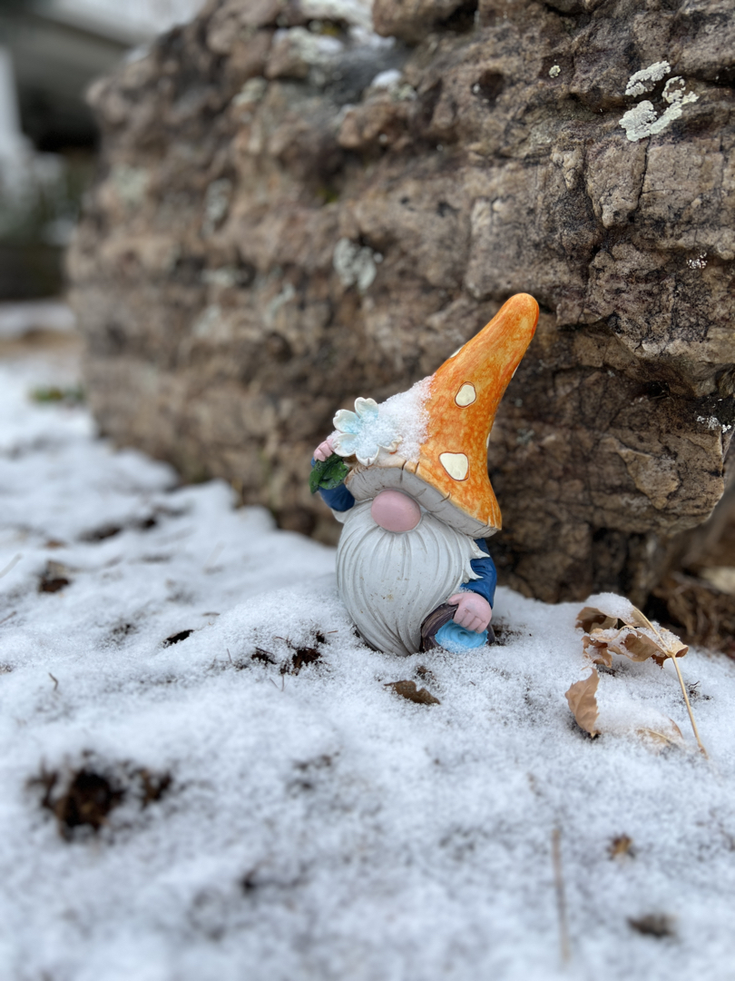 First snow
