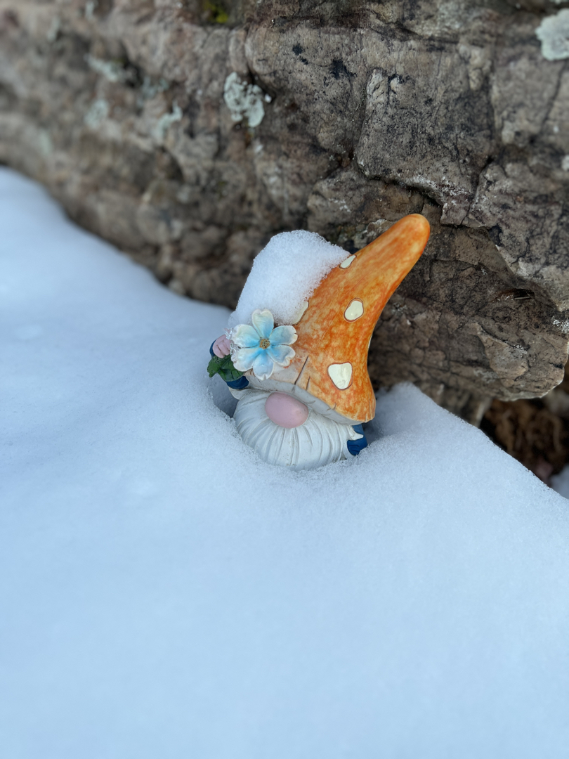 More snow!