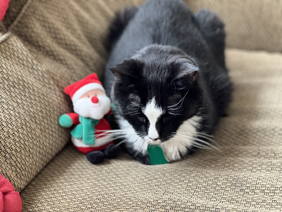 Double-checking the Naughty/Nice lists