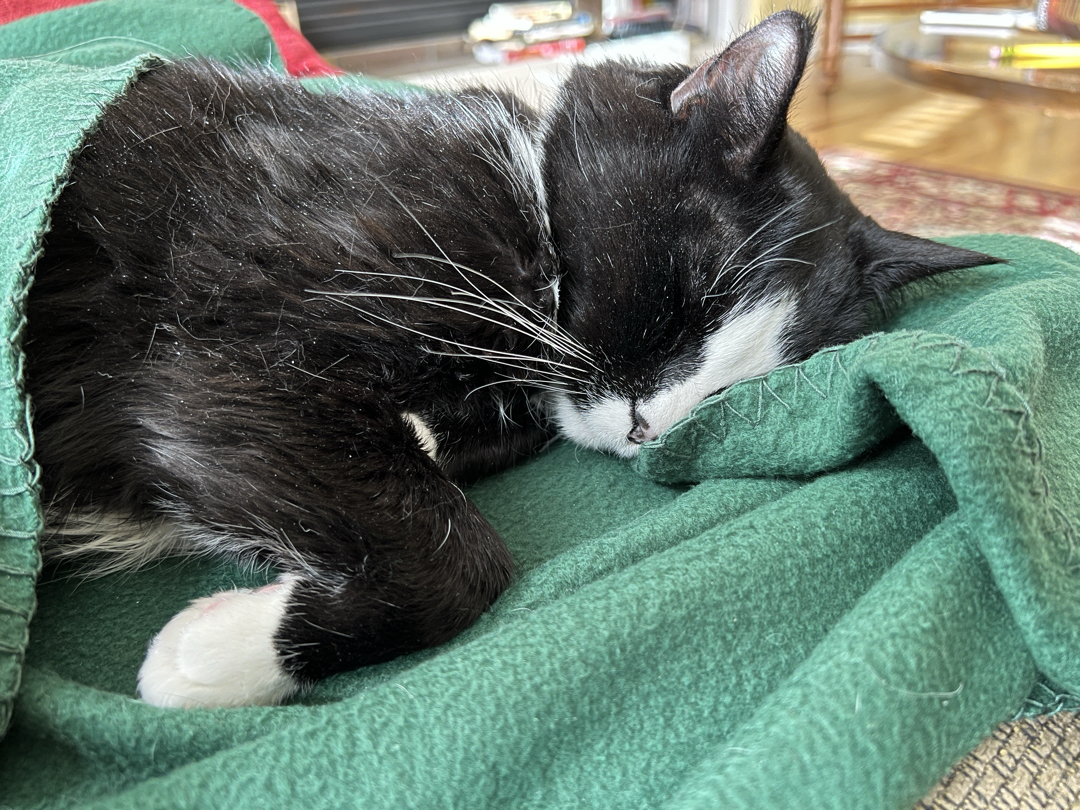 So sleepy