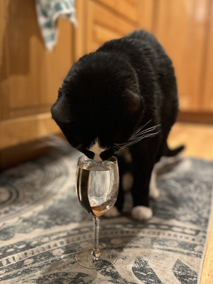 Cheers to a new year from Henry