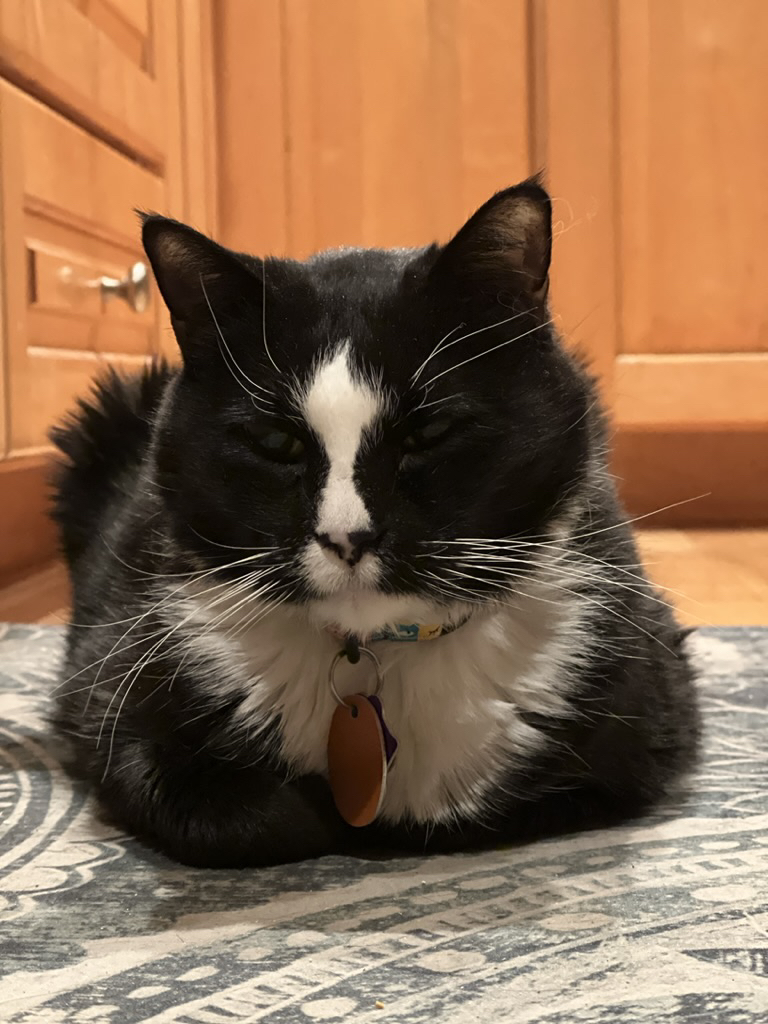 By the heat vent