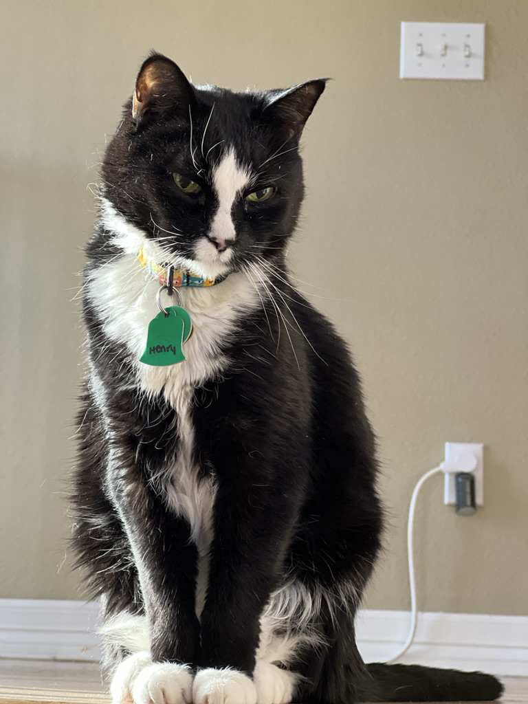 Sunny Henry