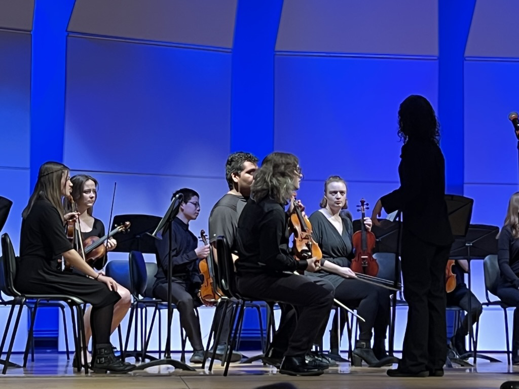 Orchestra concert