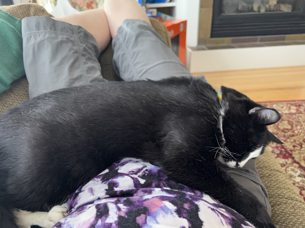 Sleepy splat