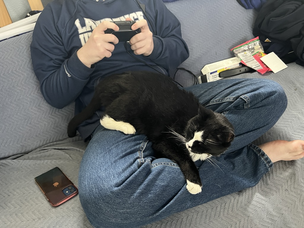 Henry is hanging out