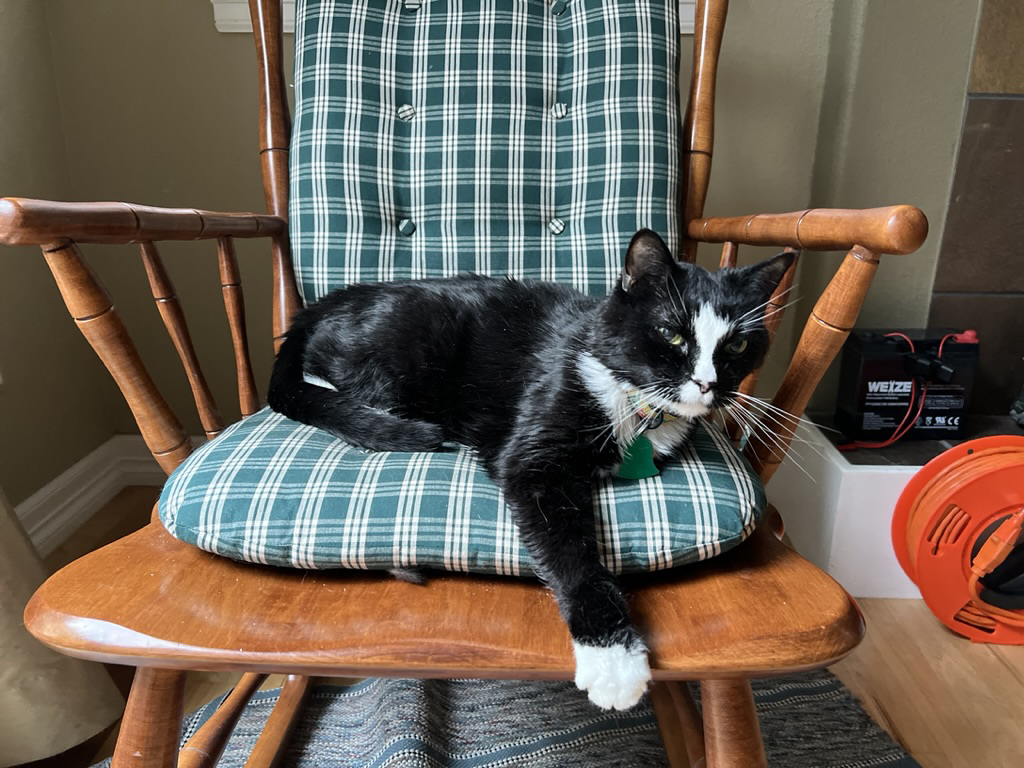Warm weather chair