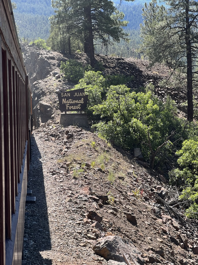 Climbing into the forest
