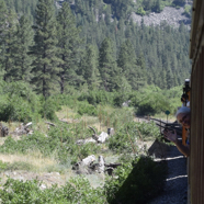 9D13E55A-130F-4916-BC48-70768354E2B1_1_105_c.jpeg