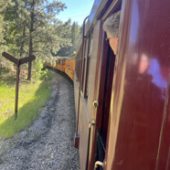 C705D817-B655-4893-A0C4-0089A967B0A1_1_105_c.jpeg