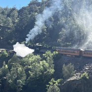 5D02A6CA-8EF4-4E4A-8639-E15D36264DB4_1_105_c.jpeg