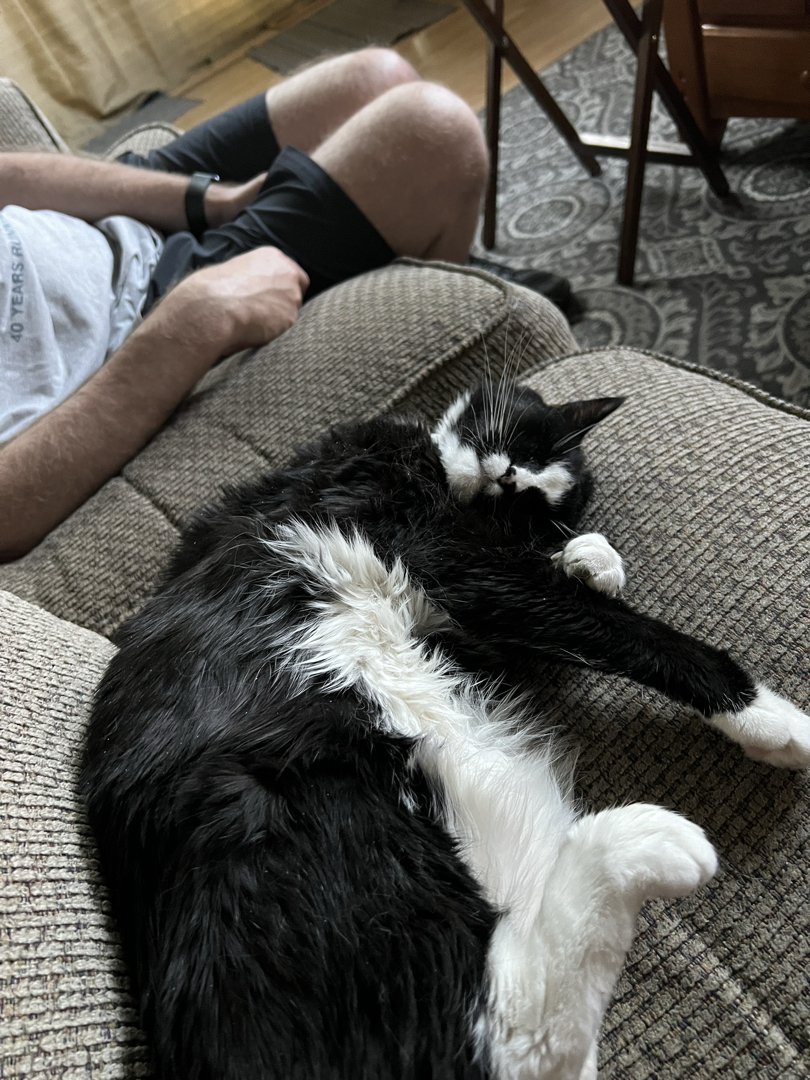 Henry just can't even deal with the heat
