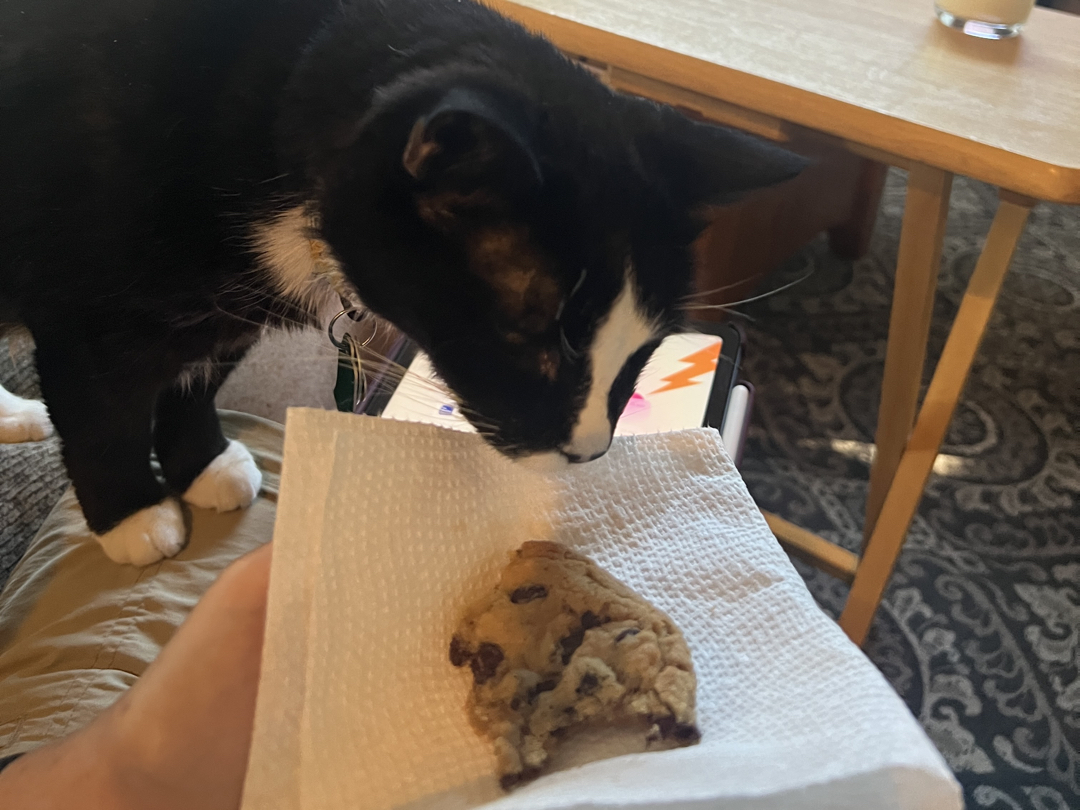 Henry investigates a cookie