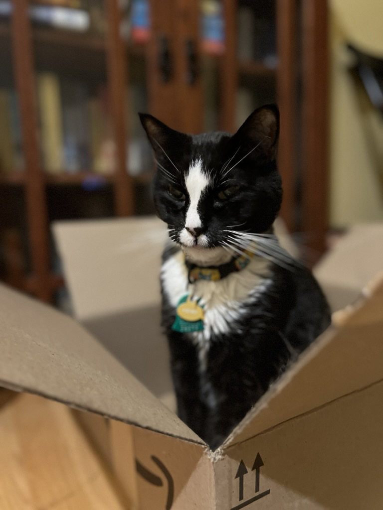 Henry and the box