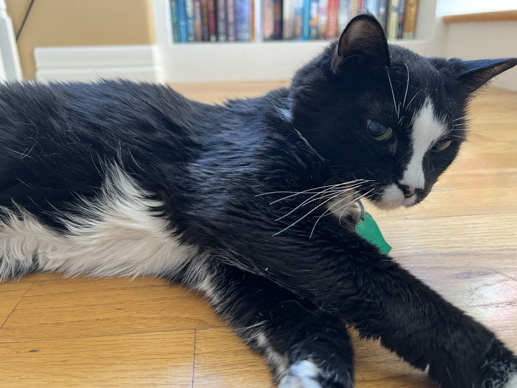 Reclining Henry