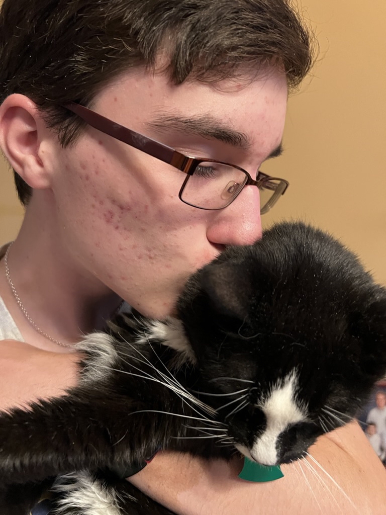 Kitty kisses