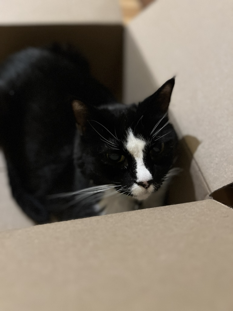 Stealth box mode