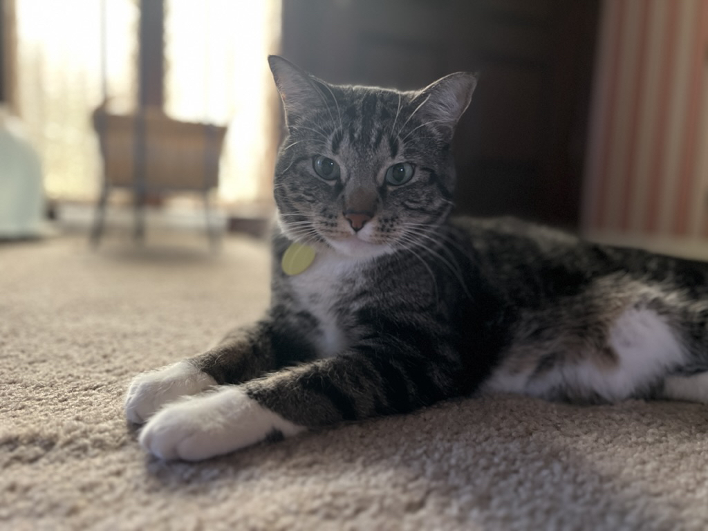 Relaxing on the floor