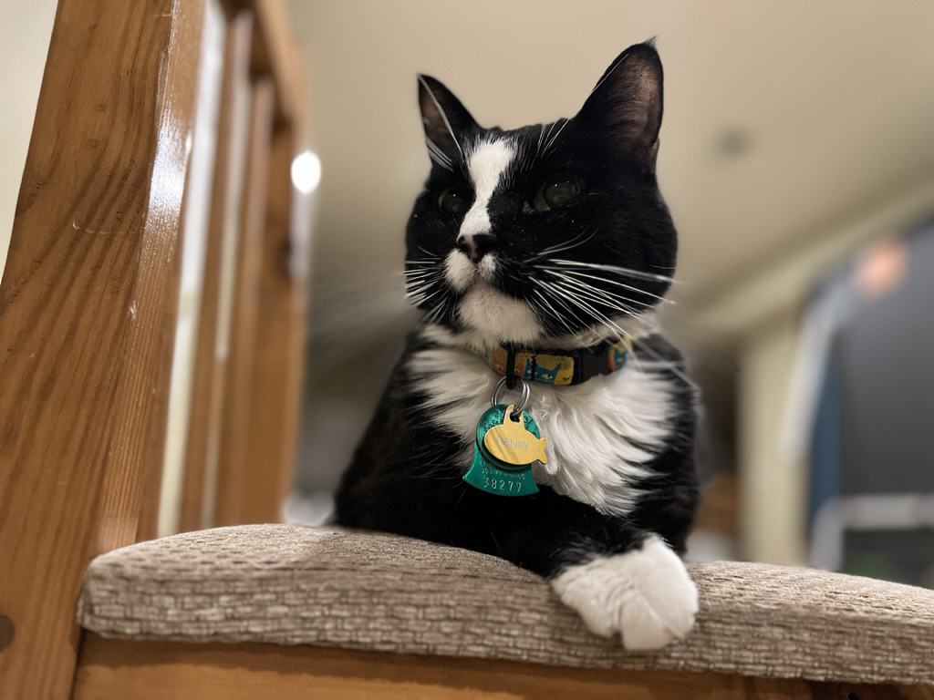 Henry on his throne