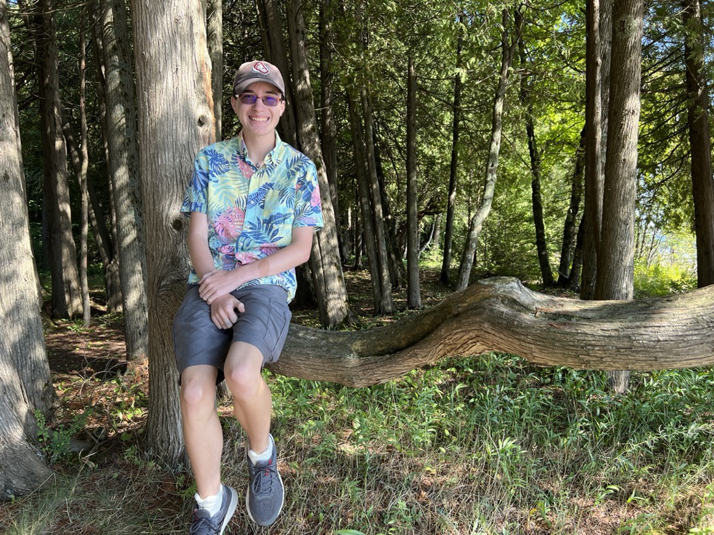 Tree seat