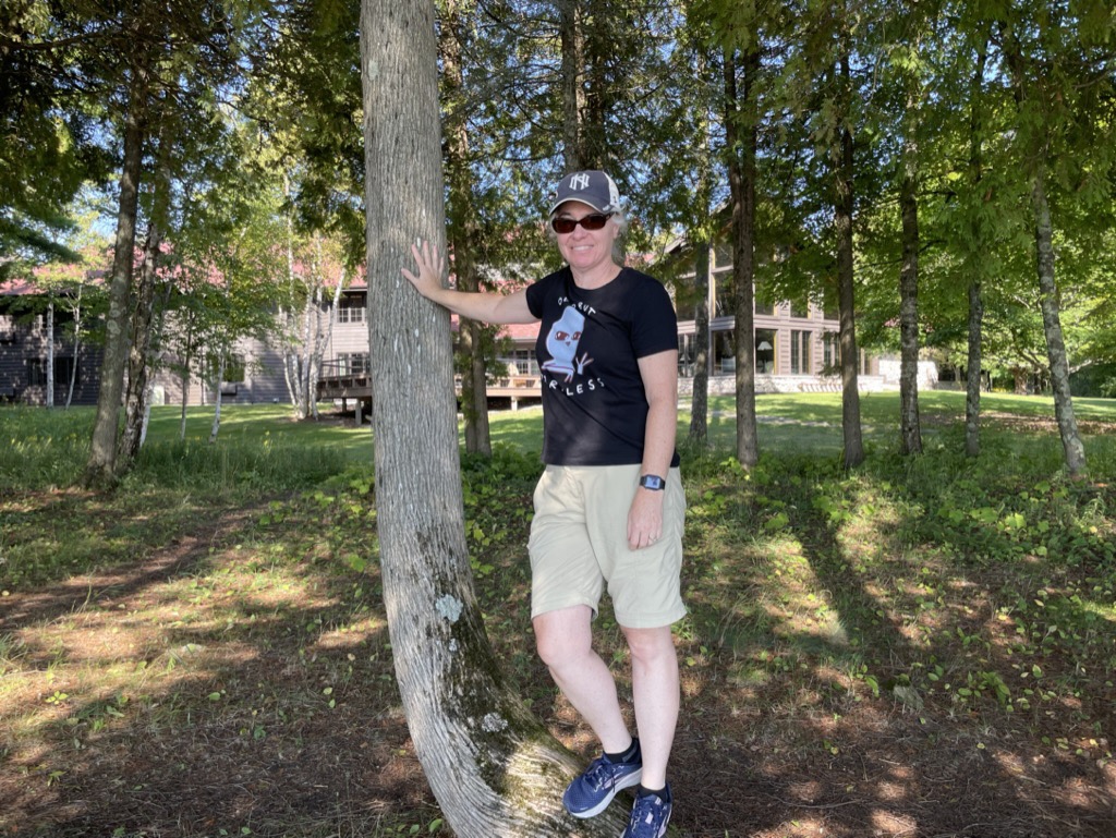 In a tree at Bjorklunden