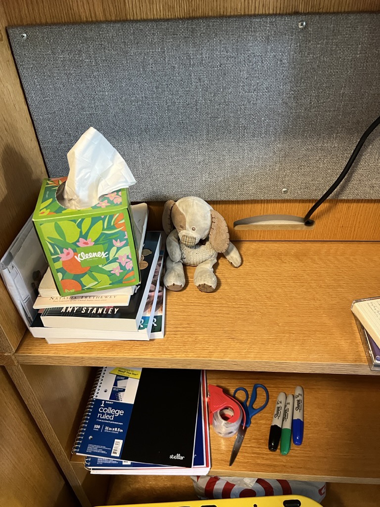 Puppy goes to college