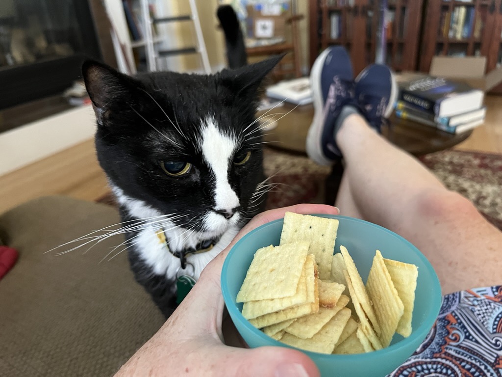 Still trying to nab Cheez-its