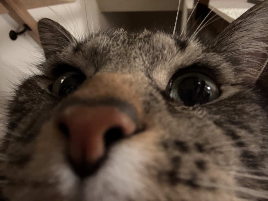 Too close