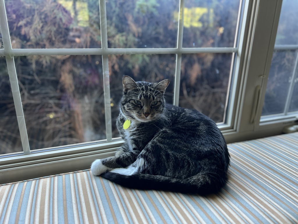Window seat