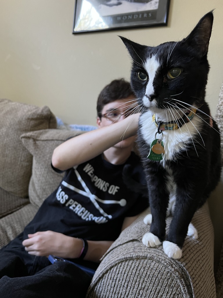 Pausing for pets