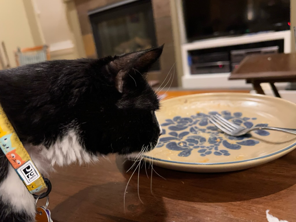 Where is MY dinner?