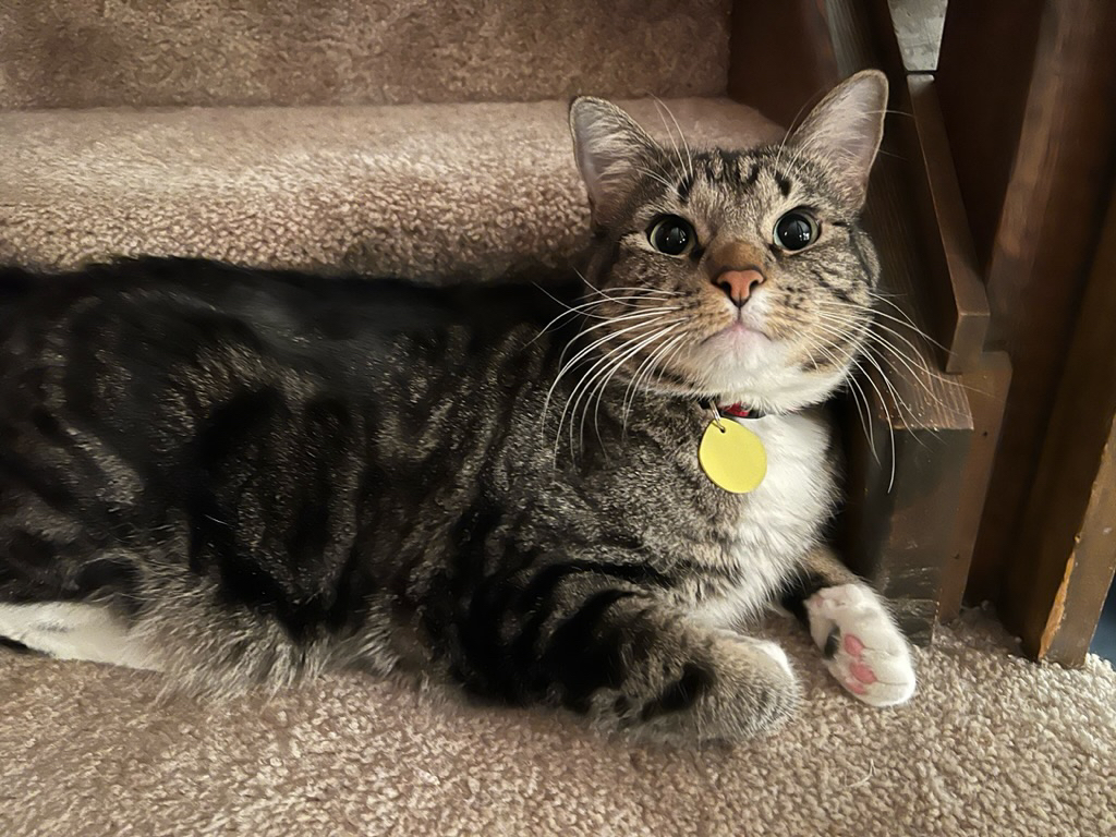 Wide-eyed David
