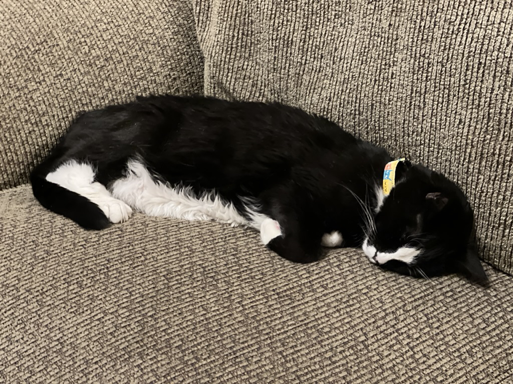 Extra long
