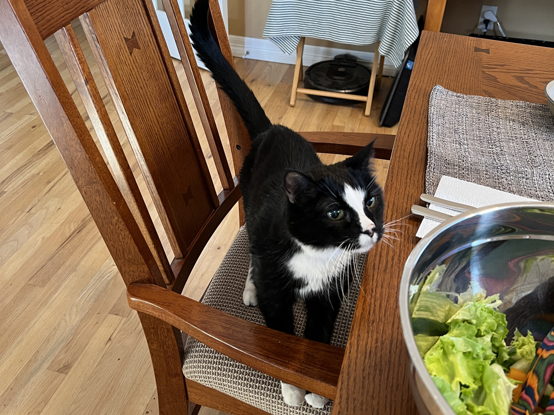 Henry is interested in salad