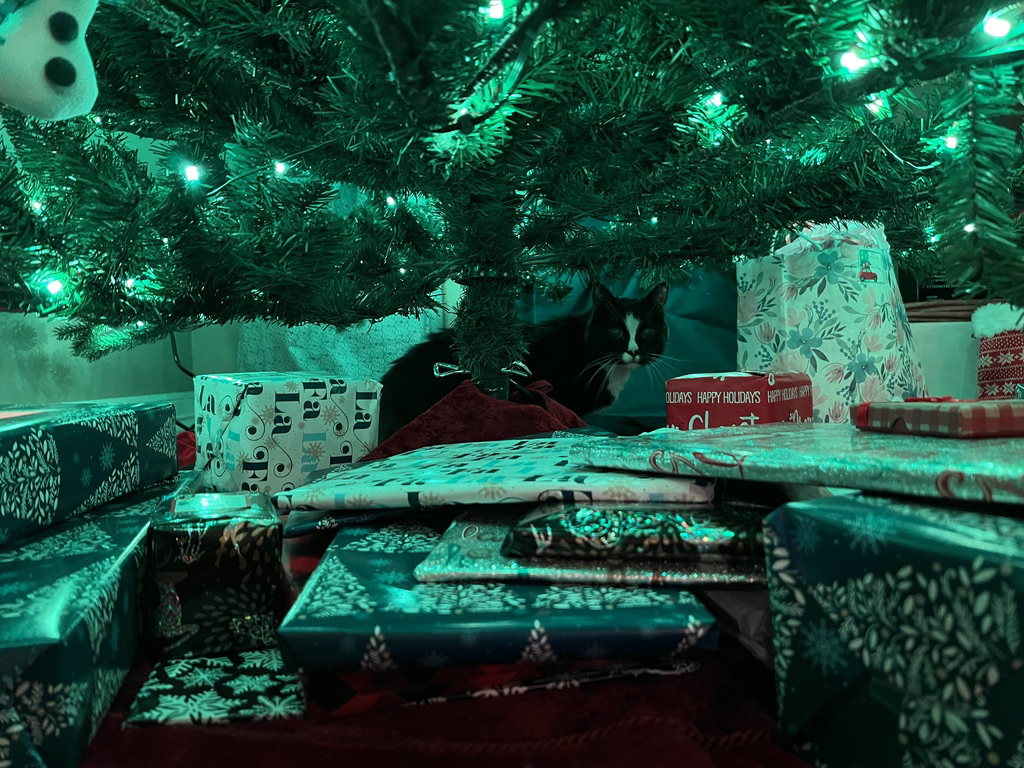 Weirdly-shaped present