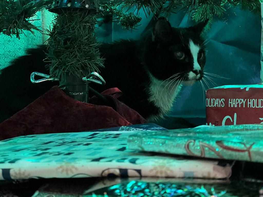 Guarding the gifts