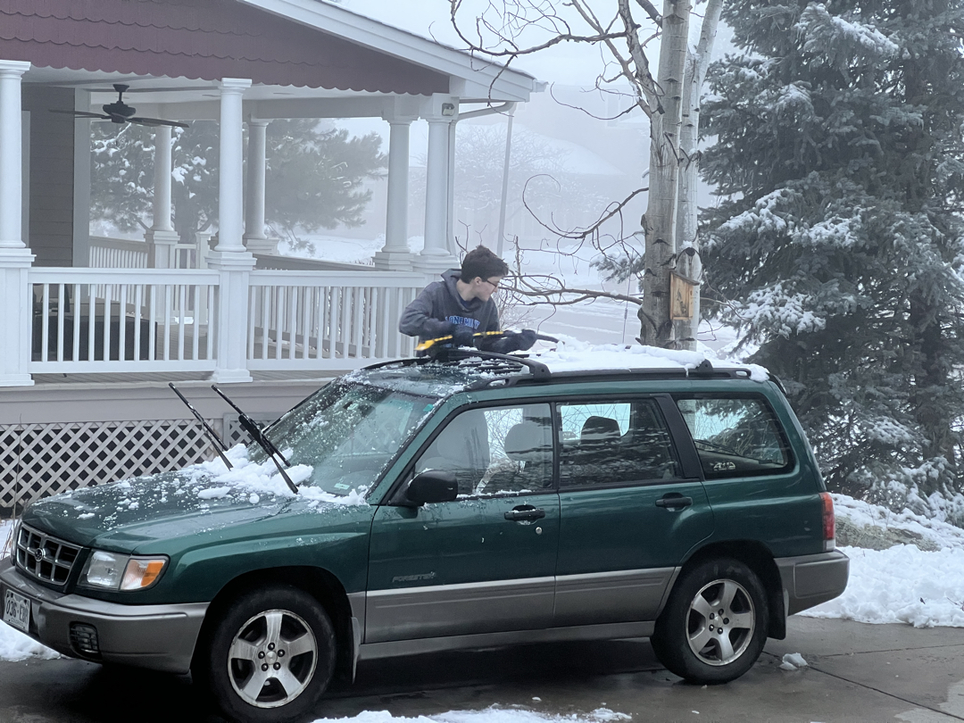 February fog and snow