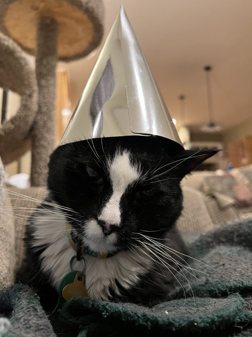 Henry's 14th birthday