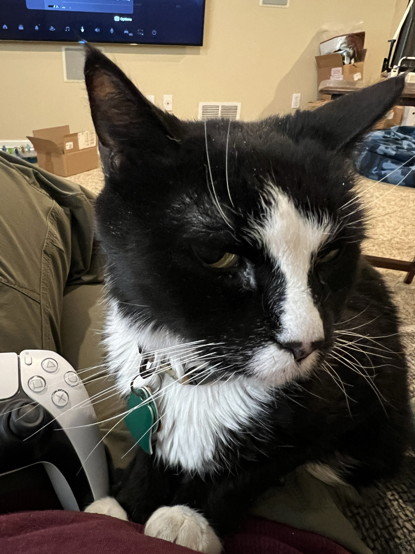Gamer