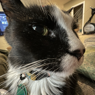 72947B79-911A-444E-B05C-430C148094A2.jpeg