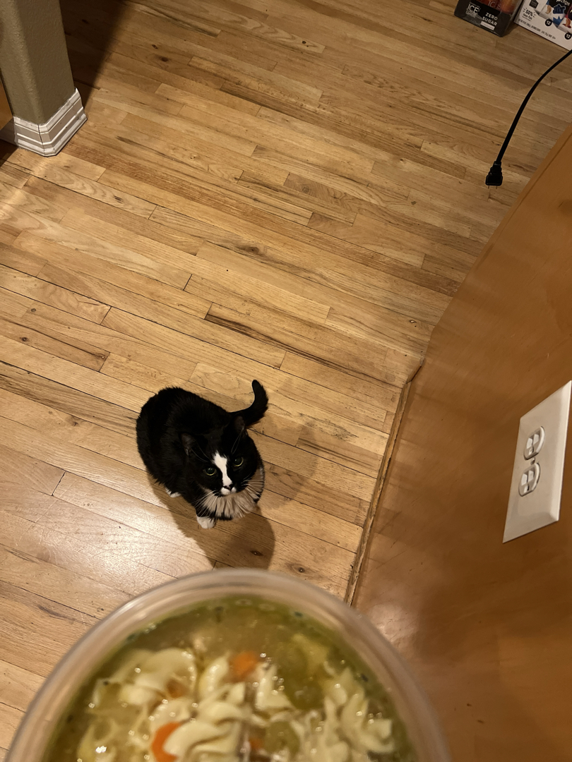 Henry would like to eat the leftover chicken noodle soup