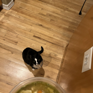 59835806-1BF9-4CAD-9CCA-2AC2079E23EC.jpeg