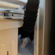 609362F9-E4DE-4583-B1F5-D434140ECDC0_1_105_c.jpeg